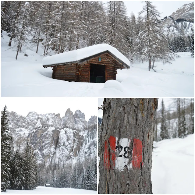 alta badia escursioni invernali ciaspole