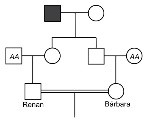 Renan - Bárbara