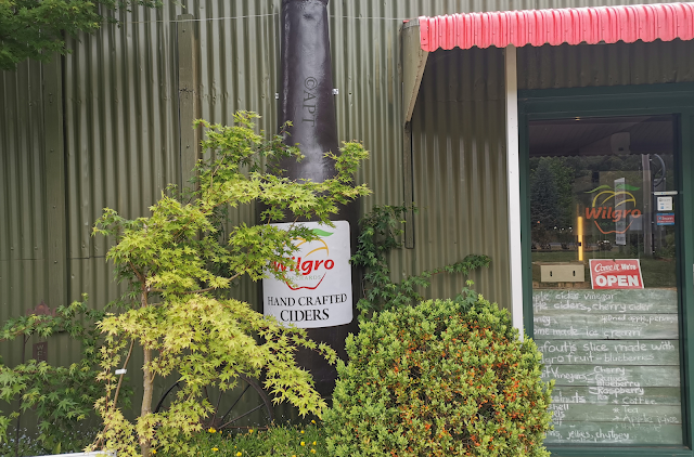 The BIG Wine Bottle in Tumut