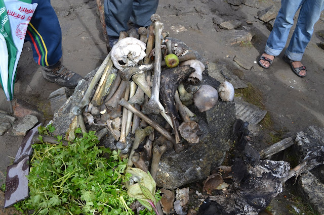 bone in Roopkund lake