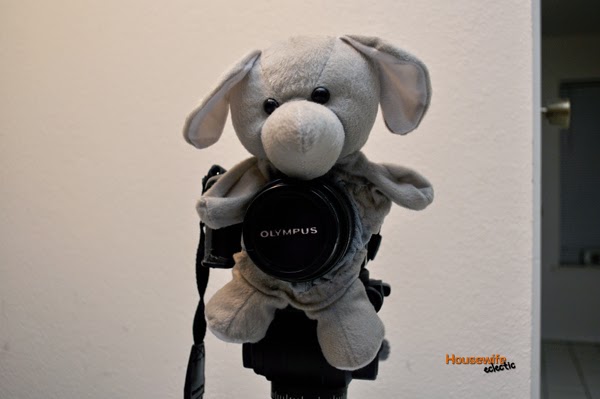 http://www.housewifeeclectic.com/2011/06/camera-lens-pal-making-kids-smile.html