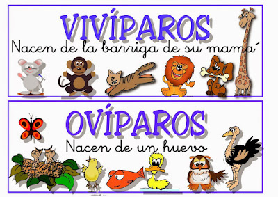 http://www.primaria.librosvivos.net/archivosCMS/3/3/16/usuarios/103294/9/3cono_ud6_faltan_loc/cono3001.swf