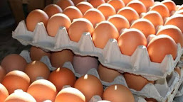 Pembagian Bantuan Telur, Berdampak Polemik Bagi Para Kades