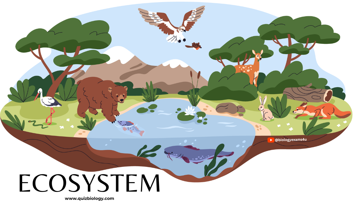 Ecosystem Quiz
