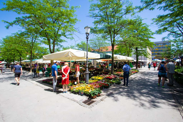 Mercato di piazza Vodnik-Lubiana