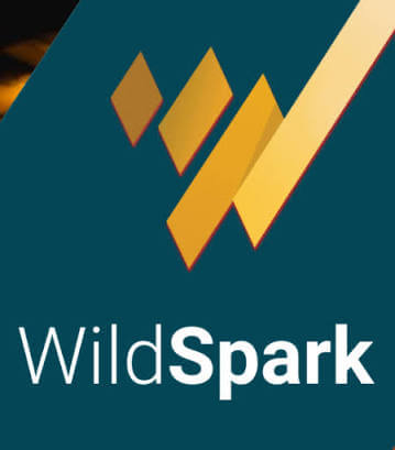 Diartikel ke lima puluh satu ini, Saya akan memberikan Tutorial Cara mendapatkan AMP dari situs Wildspark.