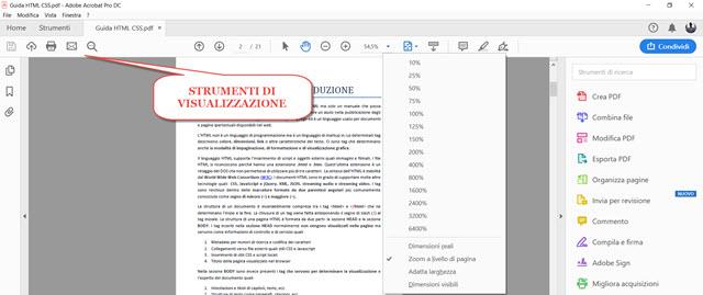 visualizzazione-pdf