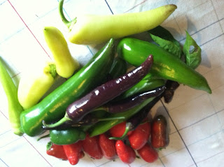 Hot peppers