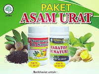 Asam Urat Pantangan Buah