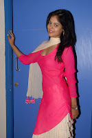 Bindhu Madhavi Hot Photos At Pilla Zamindar Audio Launch