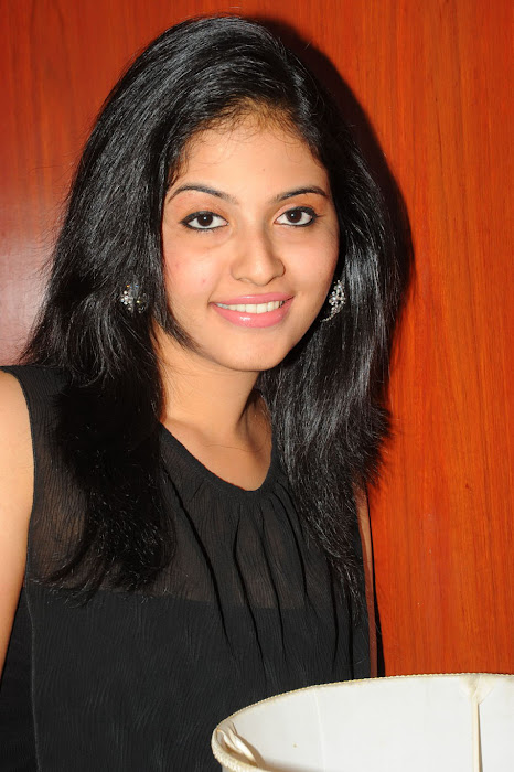 anjali at journey movie audio launch, anjali unseen pics