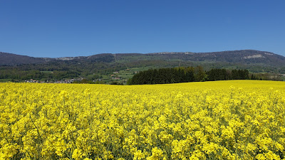 Frühlingslandschaft