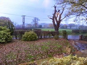 P1010975