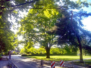 vielohweg hamburg niendorf