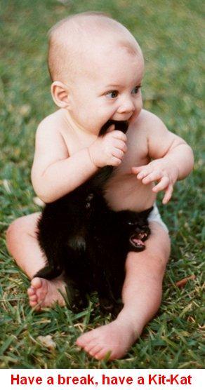 Funny Baby cut Baby Cat