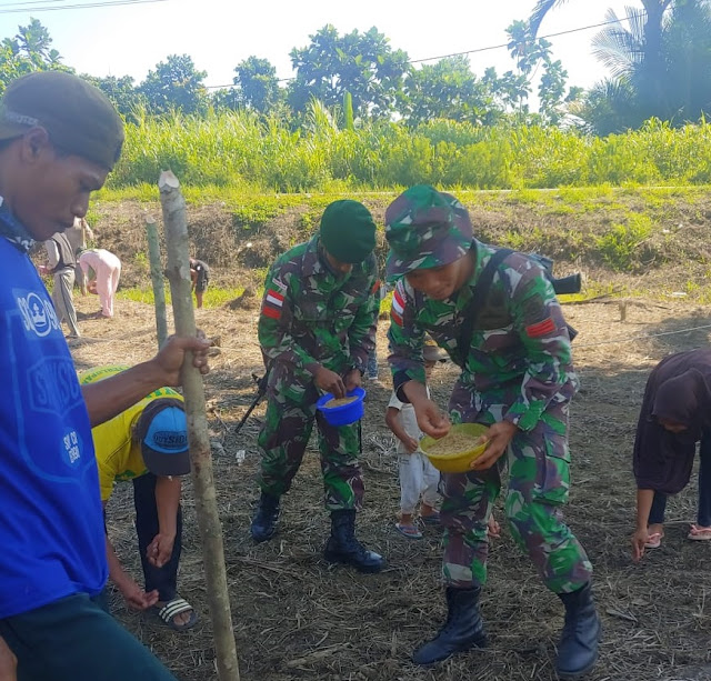  Dukung Ketahanan Pangan, Satgas 754 Kostrad Bantu Warga Menanam Padi Gogo