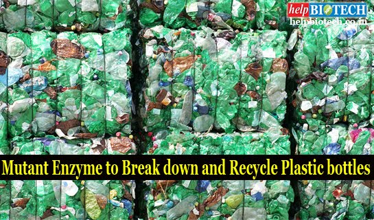 Mutant Enzyme to Break down and Recycle Plastic bottles | Report in Nature