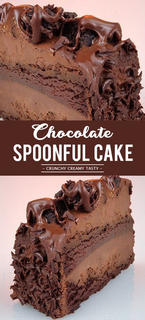 Easy Chocolate Spoonful Cake 