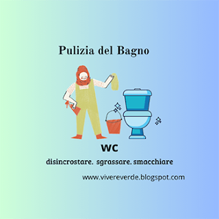 Disincrostare-sgrassare-sbiancare-il-fondo-del-wc-utilizzando-prodotti-naturali-a-lungo-rilascio