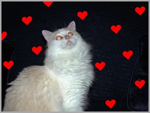 Valentine's Day 2003