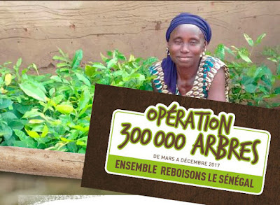 http://www.nebeday.org/p/operation-300-000-arbres.html