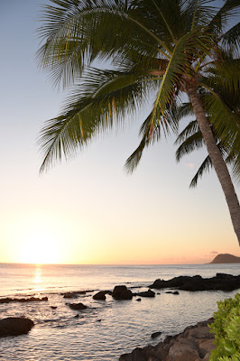 Peaceful Hawaiian Vacation