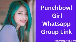 Punchbowl Girl Whatsapp Group Link