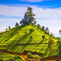 srilanka tour package from kolkata