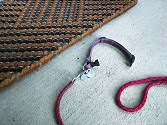 Doorstep with a dog's leash next to a welcome mat