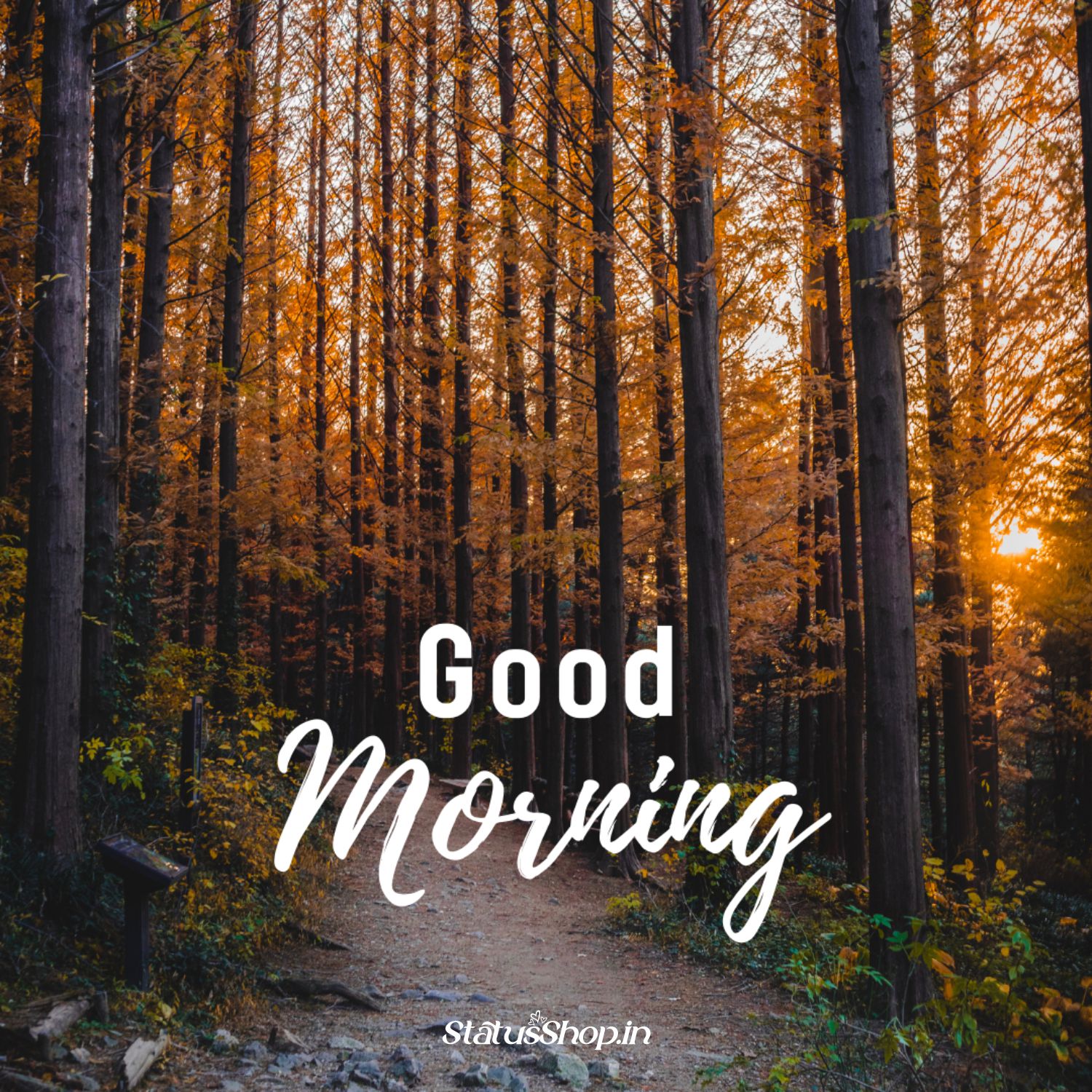 Best Good Morning Best-Good-Morning
