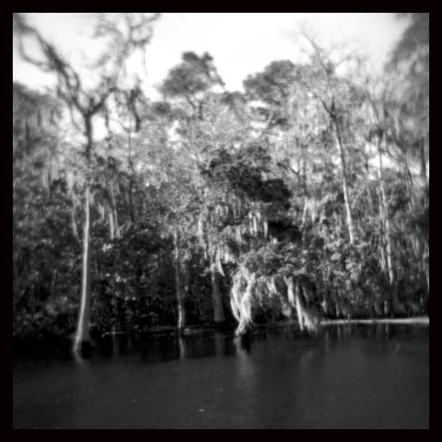 Thibodaux, LA swamp Holga Hickory Ridge Studio