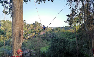 Los típicos columpios gigantes de Bali.