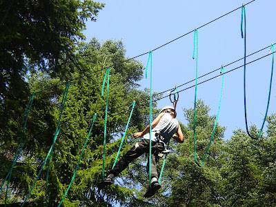 Park linowy "Wypasiona Dolina", trasa leśna