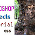 Photoshop Tutorial: How to Engraving your Face on a Tree