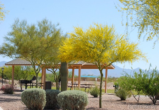 3. syc canyon park-kab