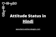 Bhaigiri Status , Dadagiri Status in hindi 2020