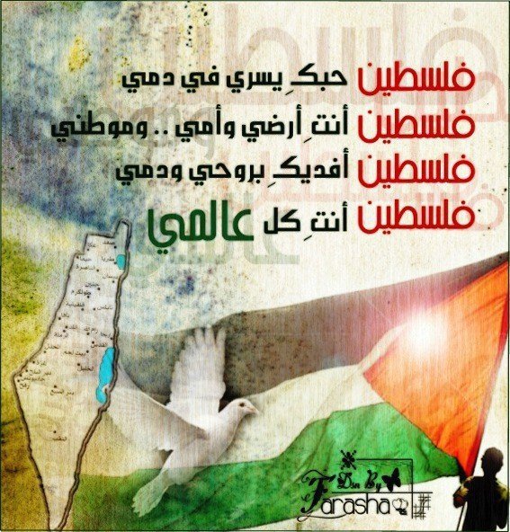 رسالة لفلسطين