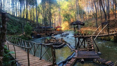 Hutan Rahong Jelajahi destinasi liburan ideal di Tempat Wisata Pangalengan untuk keluarga Anda. Nikmati momen tak terlupakan dengan fasilitas terbaik dan pengalaman wisata yang memikat