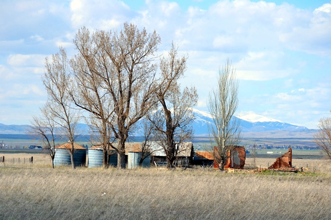 DSC_2686_01