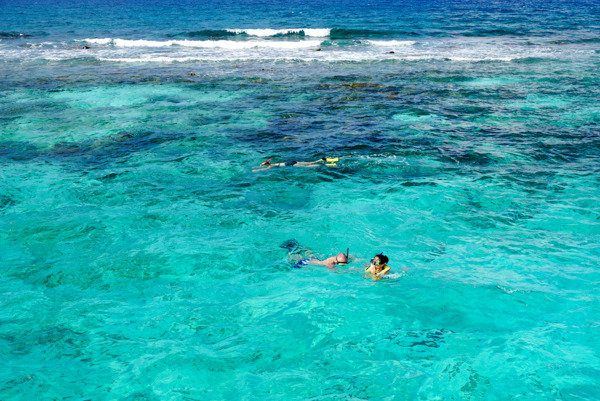  photo 201408-Cayman-Stingray-22_zpsbbnfnn6a.jpg