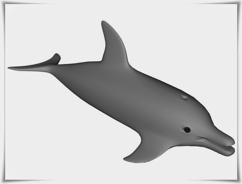 Gambar Lumba  Nama Gambar Binatang Dolphin Cartoon Picture 