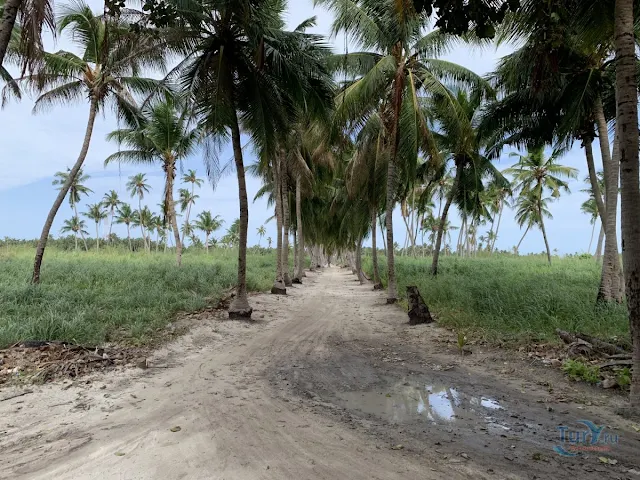 Thoddoo Island: Emerald Jewel of the Maldives
