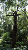 Old tree trunk - Anne's garden, Stratford, CT