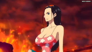 ワンピースアニメ パンクハザード編 579話 ロビン | ONE PIECE Episode 579