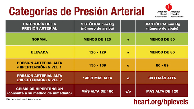 El rango de presión arterial “normal” es más bajo en mujeres que en hombres