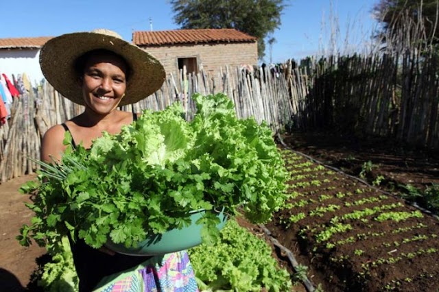 Souto Soares recebe feira de economia solidária da agricultura familiar em maio