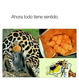 Cheetos, ahora todo tiene sentido