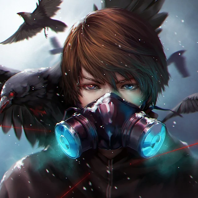 Anime Boy Crow
