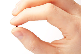 hand holding tiny mustard seed between finger and thumb