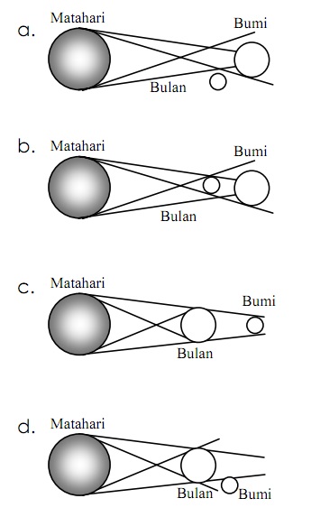 BIOLOGI GONZAGA UN IPA SMP 3